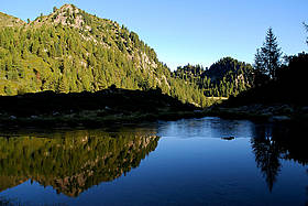 Un'Oasi WWF
© ArchivioWWF/WalterTomio
© ArchivioWWF/WalterTomio