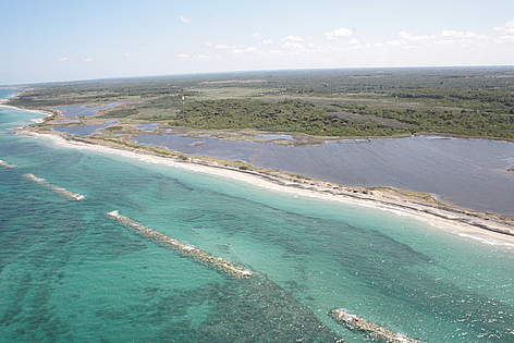 Oasi WWF Le Cesine (Le)
© WWF Italia/C. Verri Oasi WWF Le Cesine (Le) rel=