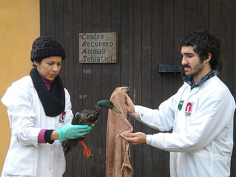 CRAS WWF Oasi di Vanzago
© Andrea Longo rel=