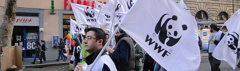 Manifestazione Referendum per dire no al nucleare e mantenere l'acqua bene pubblico (Roma 2011)
© ArchivioWWF/F.Converio
© ArchivioWWF/F.Converio
