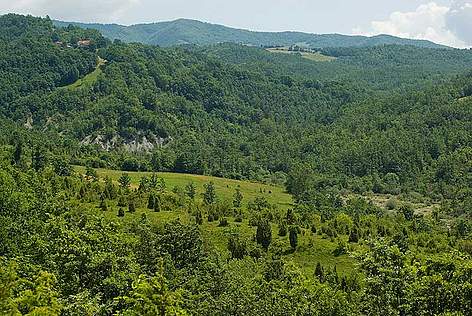 I Ghirardi
© G. Sardella rel=