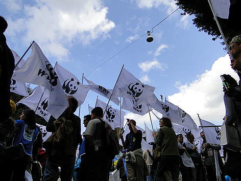 manifestazione a Roma per il referendum acqua e nucleare
© Fabio Converio rel=