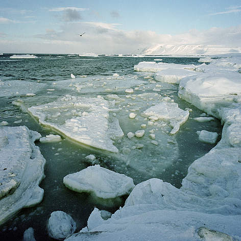 Spitsbergen, Svalbard and Jan Mayen (NO), Norvegia
© Wim van Passel / WWF rel=