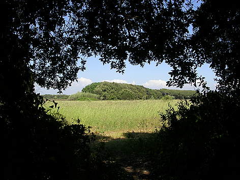 Macchiagrande
© F. Converio rel=