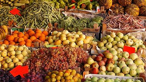 food
© M. Gunther /WWF rel=