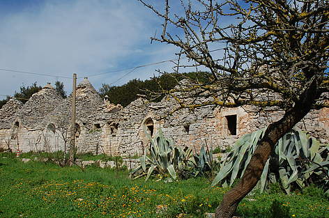 Oasi WWF Monte Sant'Elia
© Grazia Catania Oasi WWF Monte Sant'Elia rel=