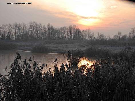 Stagni di Casale
© T. Menegozzo rel=