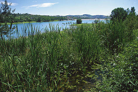 Lago di Penne
© Archivio Cogecstre rel=