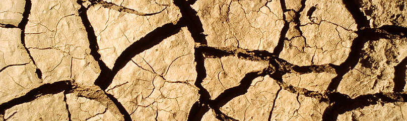 Sun-dried and cracked hydromorphic soil, Mali
© John E. Newby / WWF
© John E. Newby / WWF