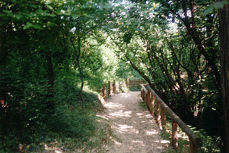 Fosso del Ronchetto
© M. Borghi rel=