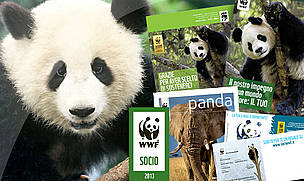 Diventare un Socio WWF fa la differenza per salvare il Pianeta.
© Archivio WWF
© Archivio WWF