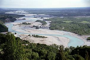 Il fiume Tagliamento
© WWF Austria/A. Mohl Il fiume Tagliamento
© WWF Austria/A. Mohl