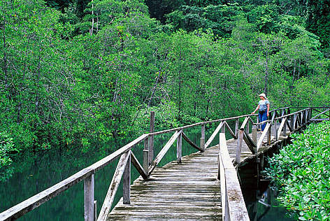 Eco-turismo a UtrÌa Sound, Colombia
© Diego M. Garces / WWF rel=
