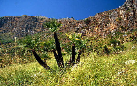 Riserva naturale dello Zingaro, Sicilia
© MichËle DÈpraz / WWF rel=