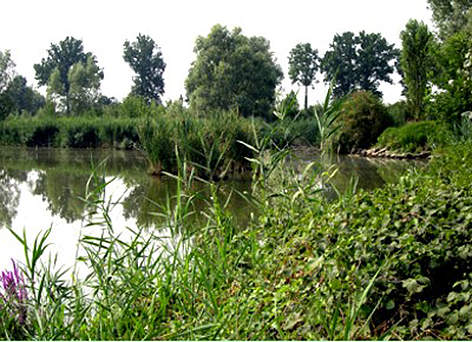 Marmirolo
© M. Benelli rel=